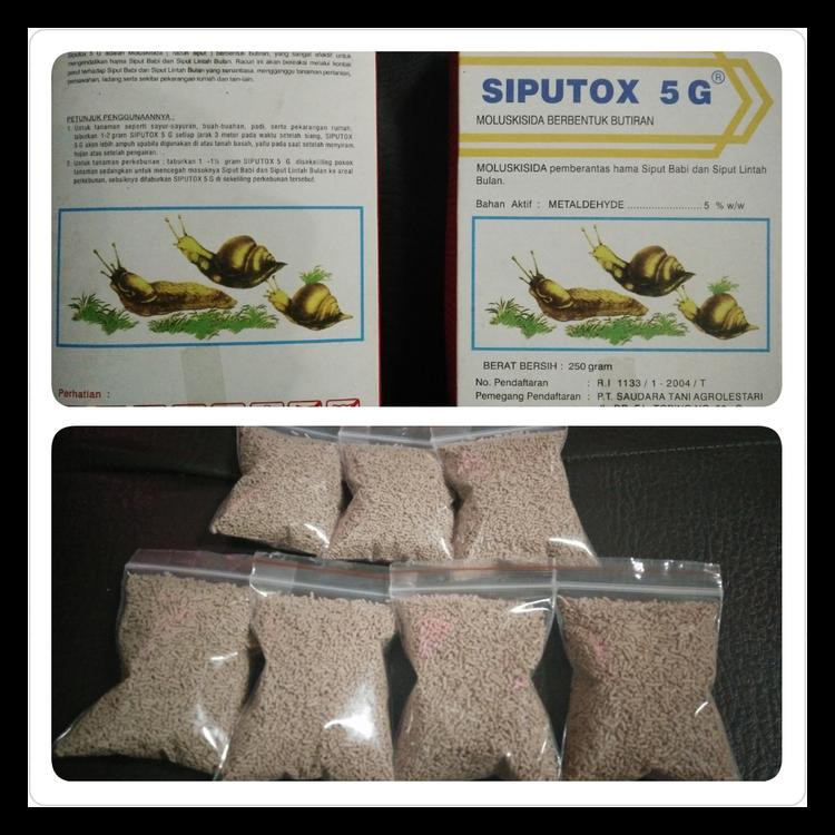 PEMBASMI HAMA SIPUT/KEONG (SIPUTOX 5G)