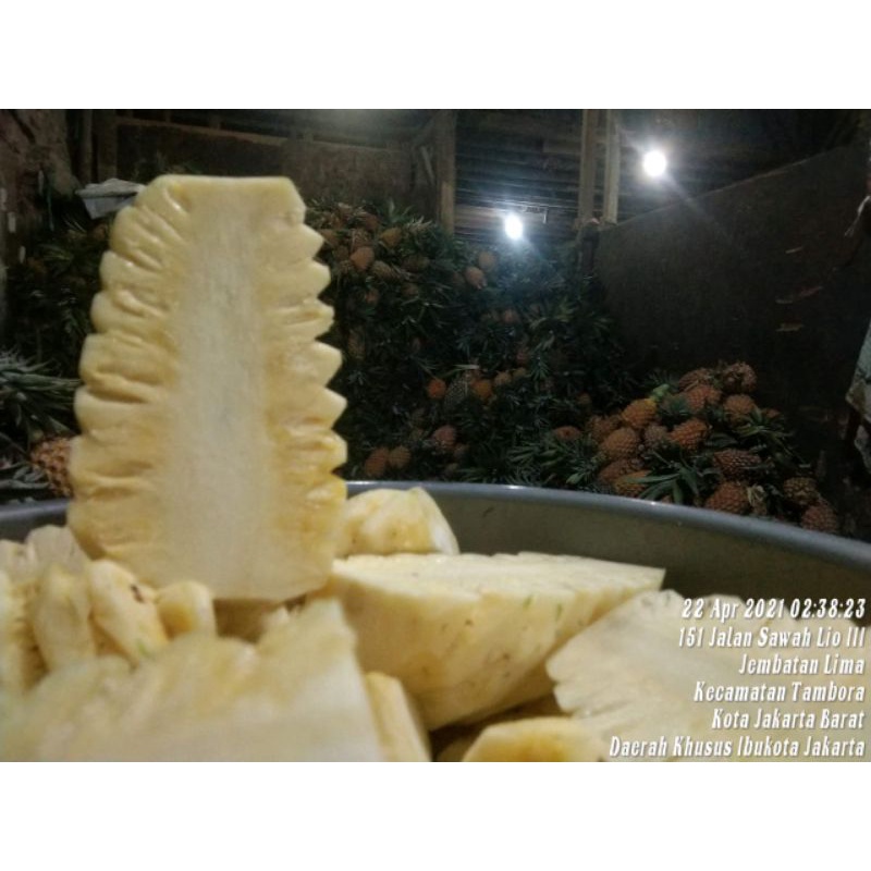 

NANAS PALEMBANG KUPAS FRESH PER 1BUAH