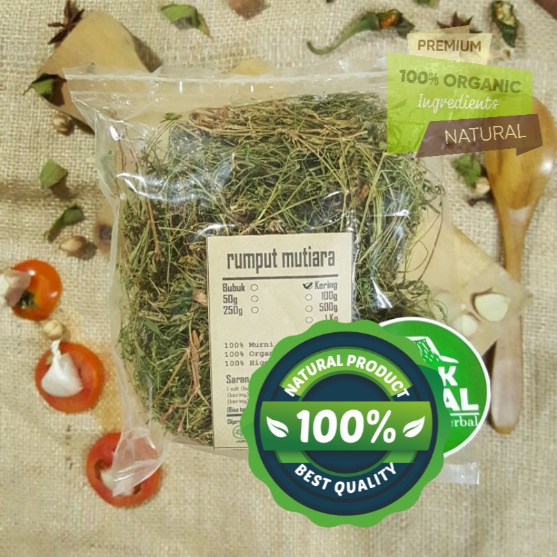 

RUMPUT MUTIARA KERING 100 GRAM - Oldenlandia - MURNI - READY STOK