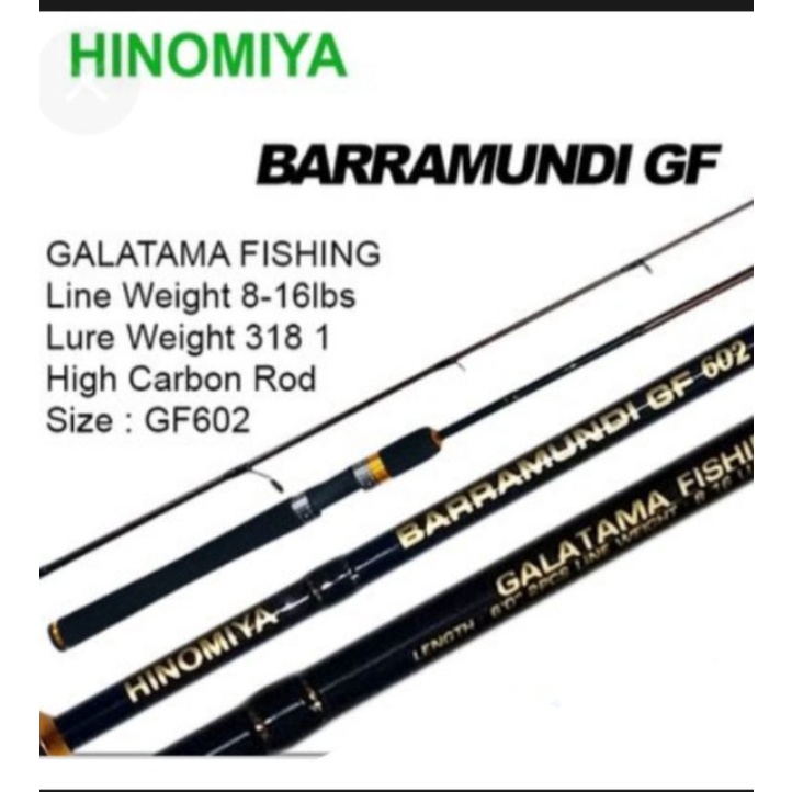 JORAN HINOMIYA BARAMUNDI GF 602