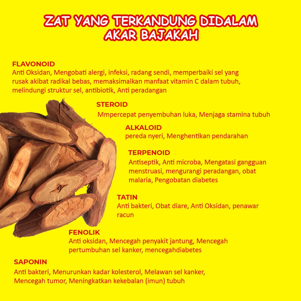 Akar Bajakah Teh Asli Kalimantan akar Teh kayu bajakah obat kanker