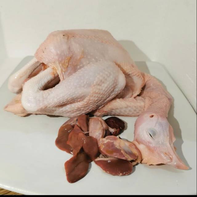 

Ayam pejantan fresh