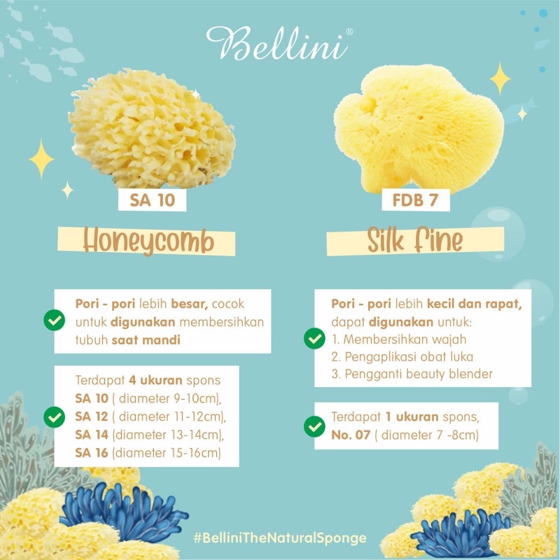 Bellini Natural Sea Sponges Honeycom - Sponge Mandi Bayi