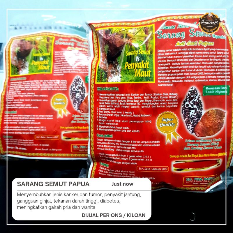 

sarang semut rebus asli Papua