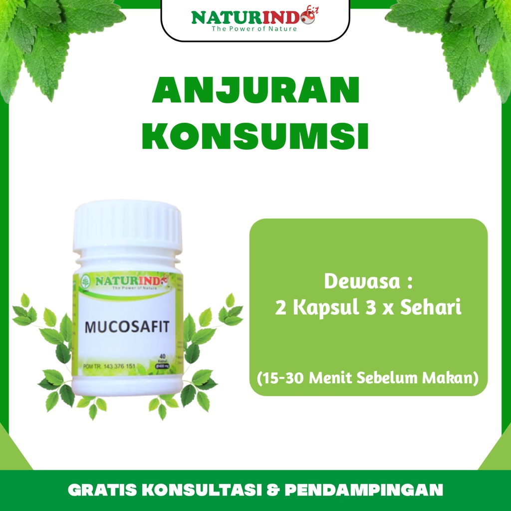 Obat Herbal Asam Lambung Tinggi Maag Magh & Gerd Kronis Gastritis Tukak Lambung Akut Sakit Perut Nyeri Ulu Hati Kembung Gangguan Pencernaan Panas Dalam Mucosafit Naturindo Bpom Herbal Paling Ampuh Halal Tanpa Efek Samping-3