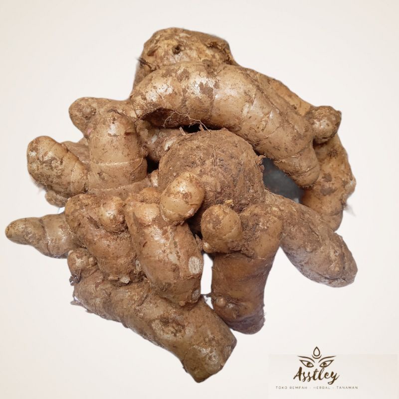 

Temu Ireng Atau Temu Hitam Curcuma 1 Kg Segar Tua Pilihan