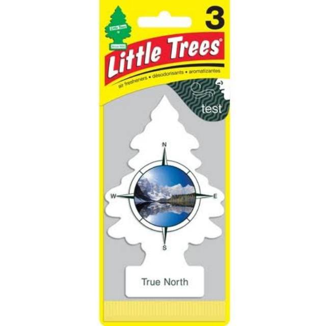 Pewangi mobil little trees true north