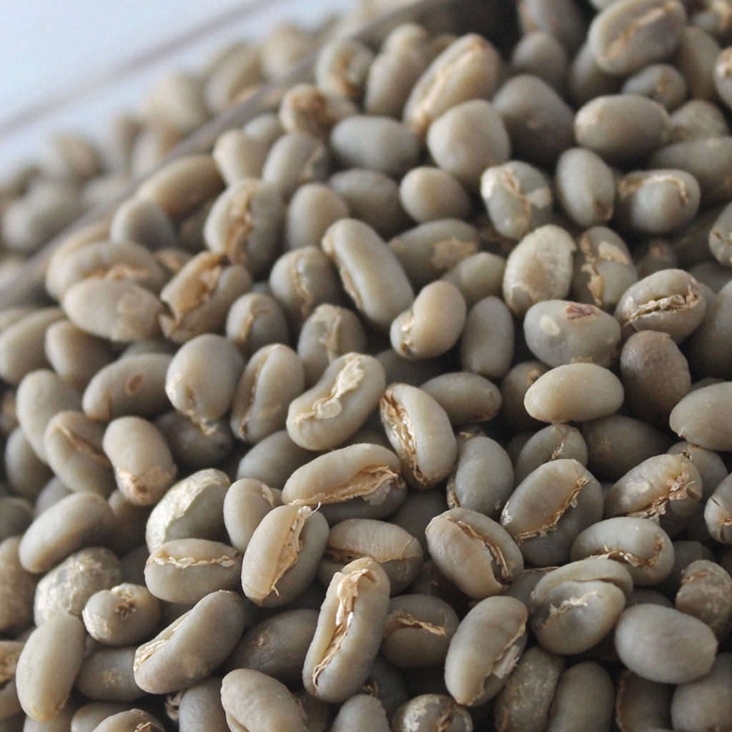 

Kopi Biji Tunggal Arabika Gayo Peaberry Coffe 1Kg-Biji Mentah/Green Bean-AZA Coffee