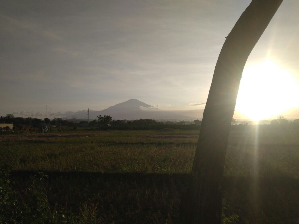 Gagang Pintu Rumah Handle Pintu 33 Cm Dan Satu Set Body Kunci Pelor