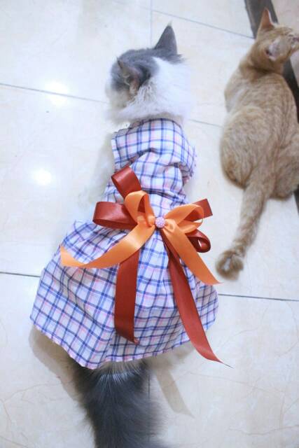 Dress kotak-kotak biru putih untuk kucing &amp; anjing /Jual Baju Kucing Terlengkap Murah size S-XL