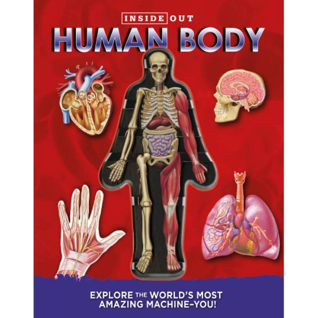 BBW 2020 Inside Out Human Body