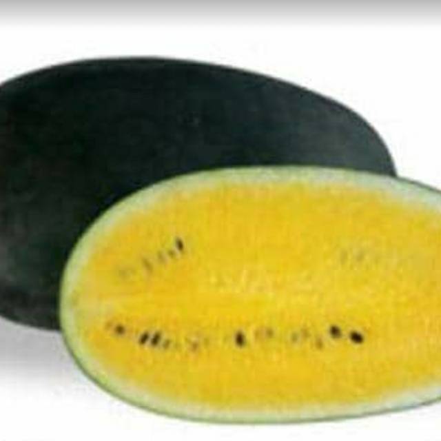 

Semangka Kuning Lonjong Ganda Segar dan Sehat Ukuran 3-3,5 kg per Biji Rp. 30.000