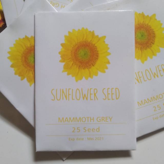 

Sunflower Mammoth Grey | Isi 25 biji