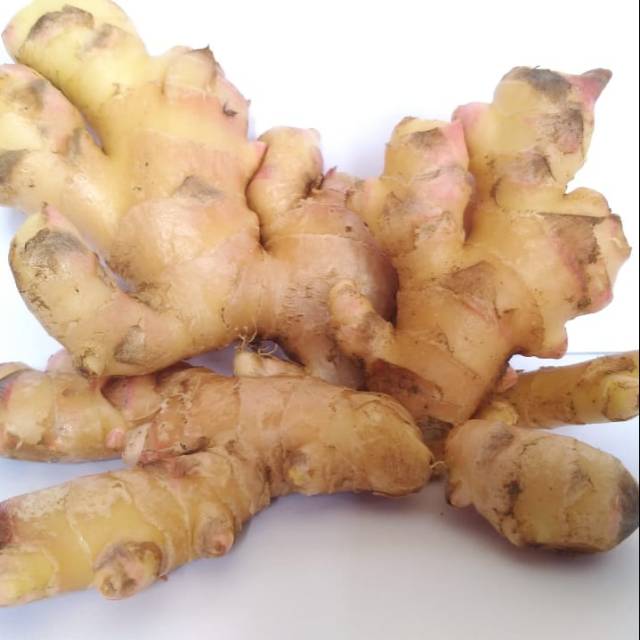 

Jahe Gajah / 250gr