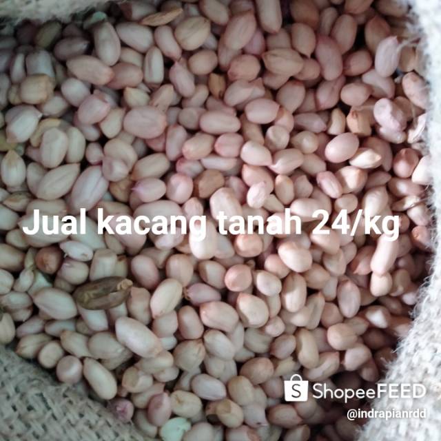 

Jual kacang tanah