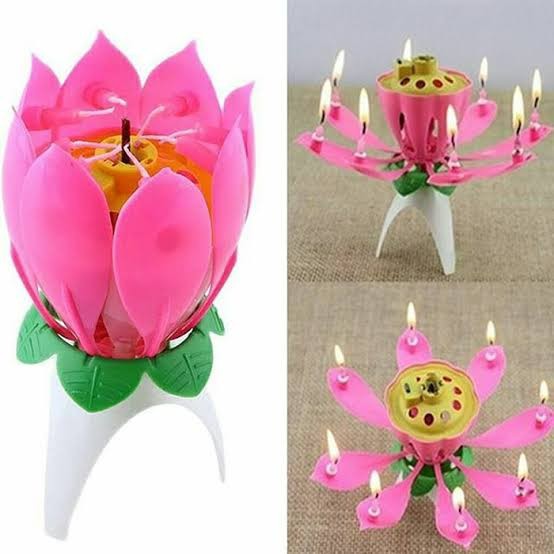 Lilin Ulang Tahun Bunga Lotus Ajaib Magic Candle Flower Birthday Ada Musik Music