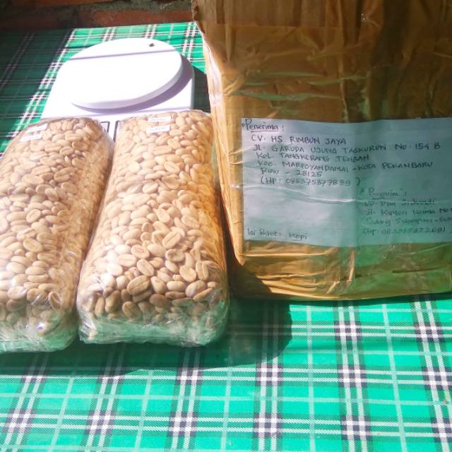 Biji-benih bibit Kopi Ateng Arabika Sidikalang