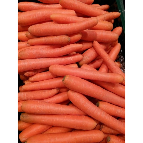 

Wortel import/besar (500gram)
