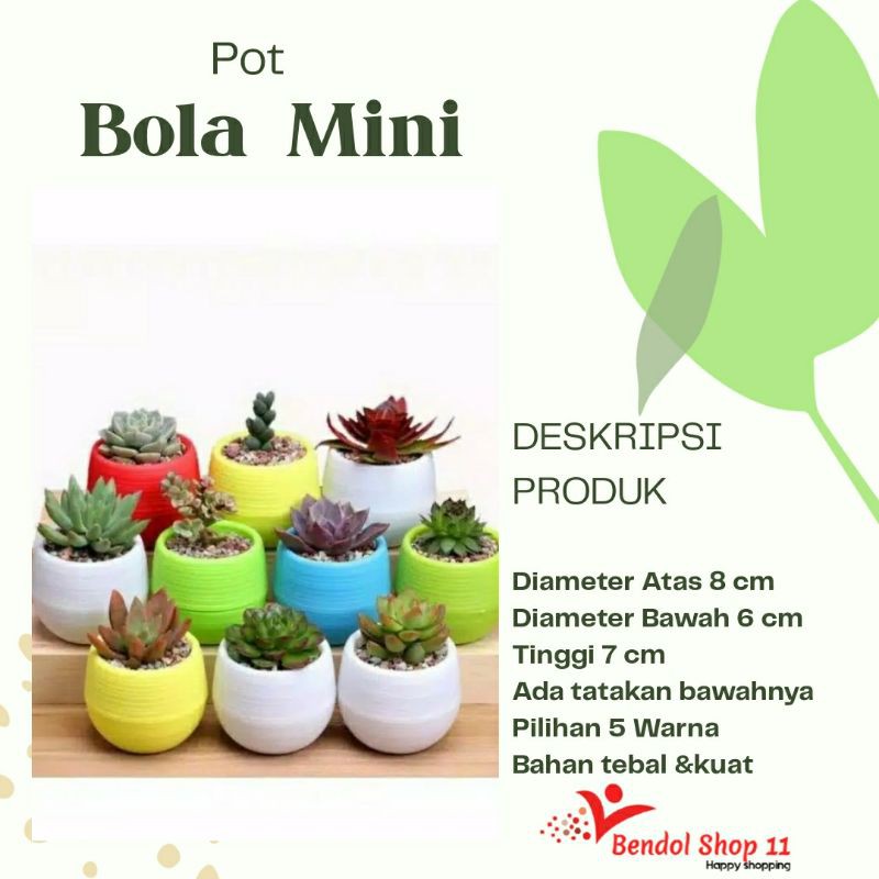 Pot bola mini / pot telur / pot kaktus sukulen / pot plastik