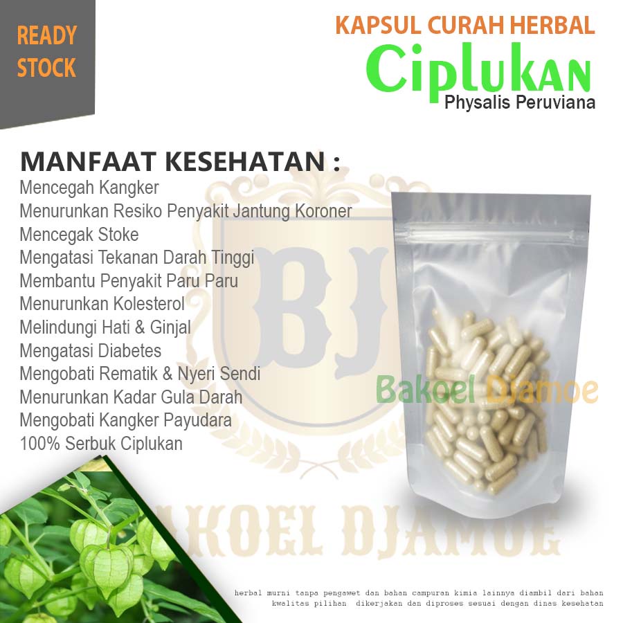 

Kapsul curah herbal ciplukan kapsul herbal flu dan batuk panas demam bisa cod