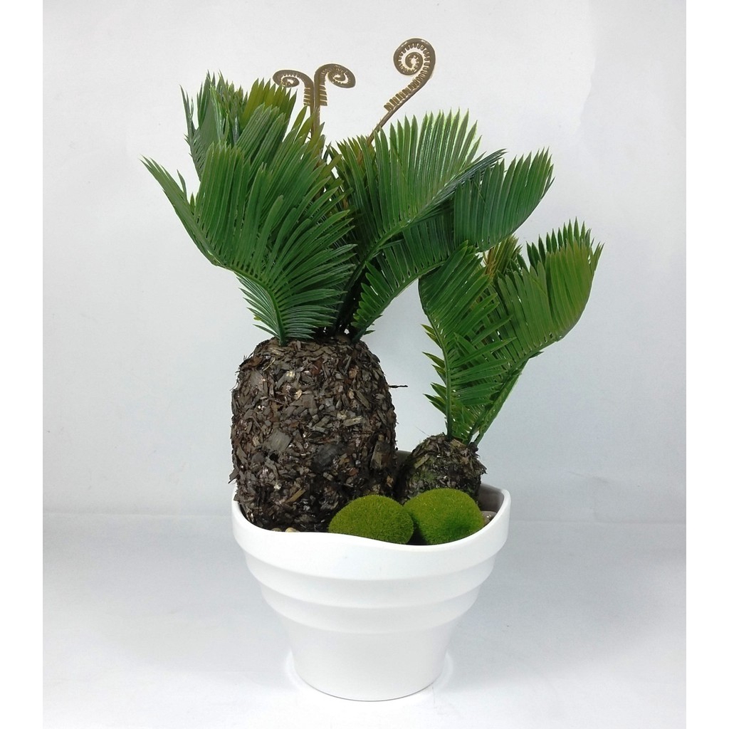 Bonsai Palm Artificial Tanaman Hias Tanaman Bonsai Bonsai Palm Artificial Tanaman Hias Tanaman Bonsai