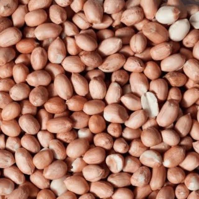

Kacang tanah kulit