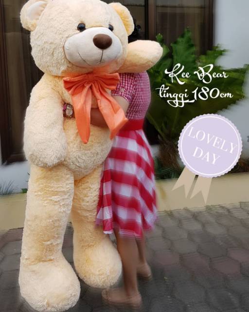 boneka besar Kee bear super jumbo beige