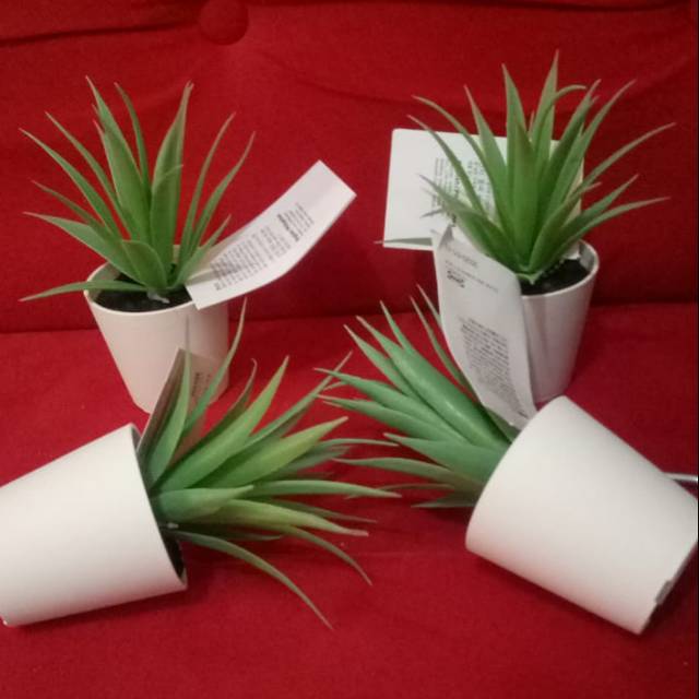 Pohon kaktus mini artificial