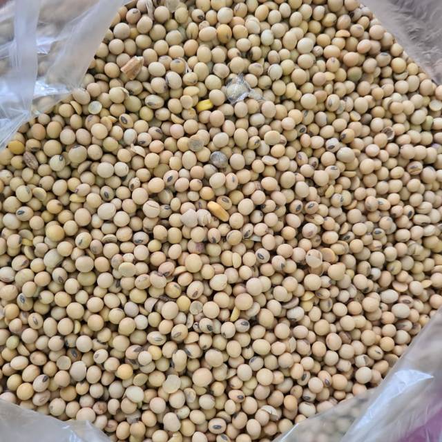 

Kacang Kedelai 500gr Import