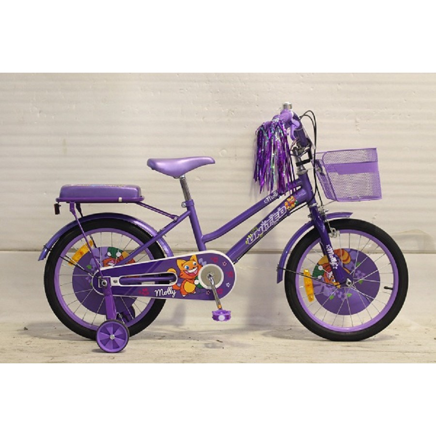 United 18 Molly Sepeda Anak