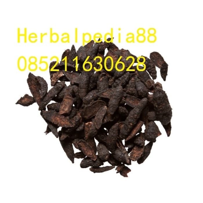 

Xiang Fu Nutgrass Rhizome Cyperus Tuber 100gram