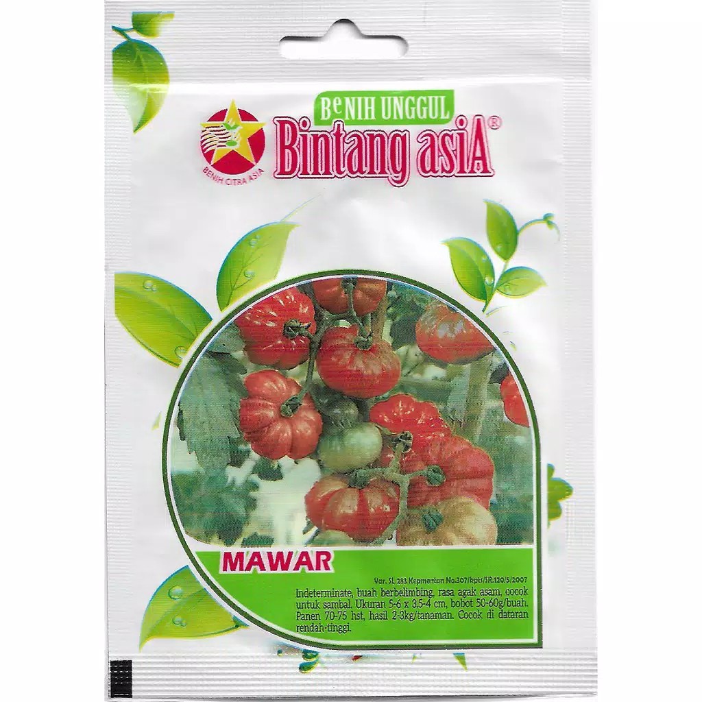 Benih Tomat Mawar Bintang Asia