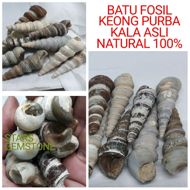 BATU FSL KEONG PURBA ASLI BATU NATURAL 100%