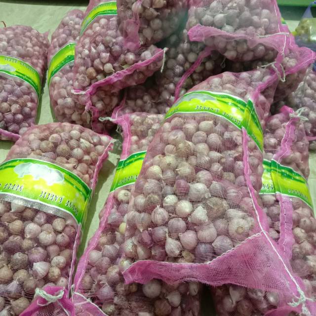 

Bawang tunggal/Lanang sedang 1kg impor
