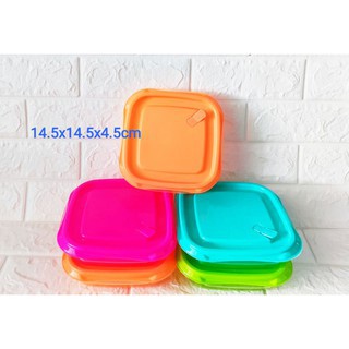 Lunch Box / Tepak makan warna 4PCS/ Biggy Box / Kotak Bekal / Multipurpose box