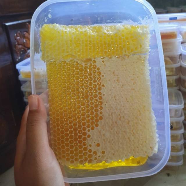 

Madu Sarang Asli Melifera