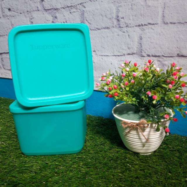 Medium summer tupperware ecer