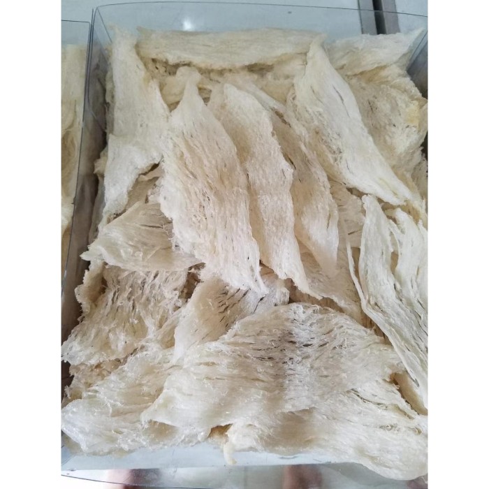 

Kkeanashop Sarang Burung Walet Kalimantan Patahan Besar Kualitas Super 50 Gr