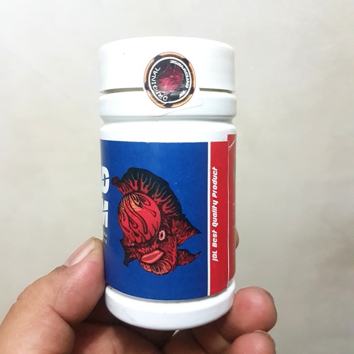 pelet khusus jenong louhan. jdl head platinum