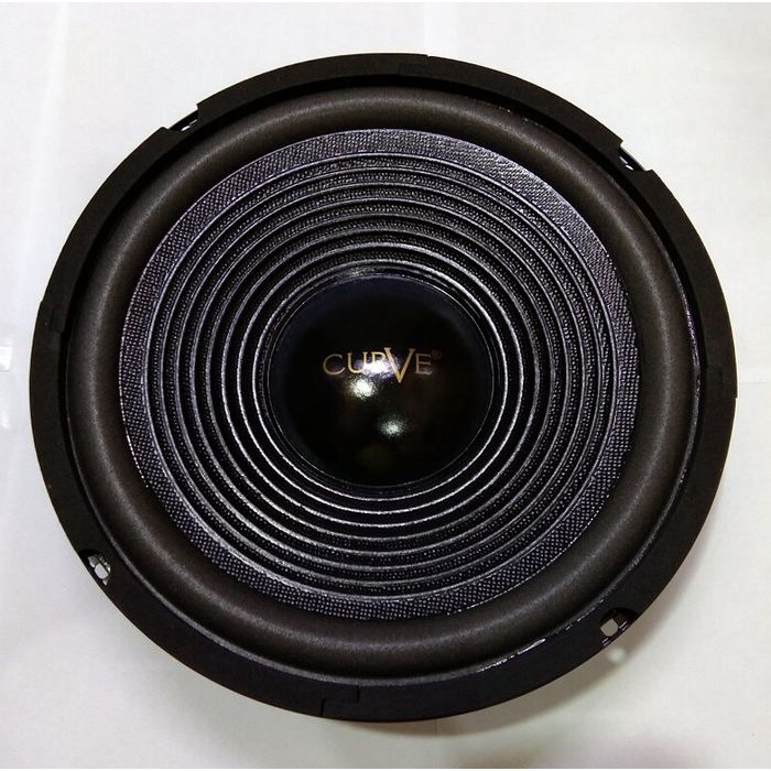 SPEAKER 10 INCH WOOFER CURVE 25H100SUWPP 300 WATT