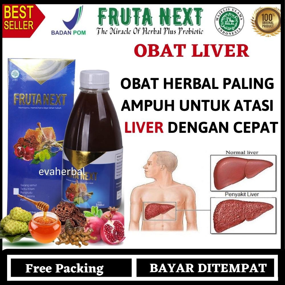 Obat Liver Paling Ampuh Liver Perut Bengkak Obat Herbal Frutanext