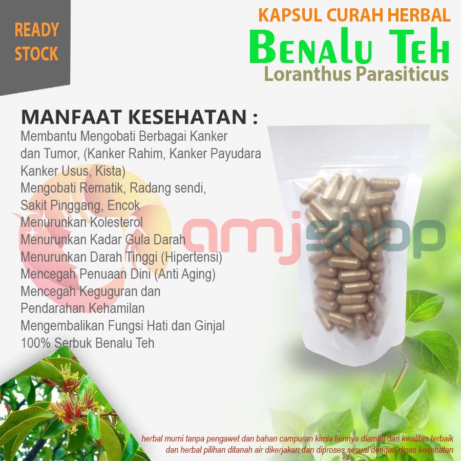 

KAPSUL CURAH HERBAL BENALU TEH Tumor AntiAging Hati Ginjal Kanker Ngorok