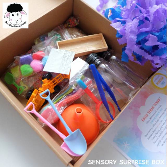 MONTESSORI SENSORY BOX MAINAN SENSORI ANAK