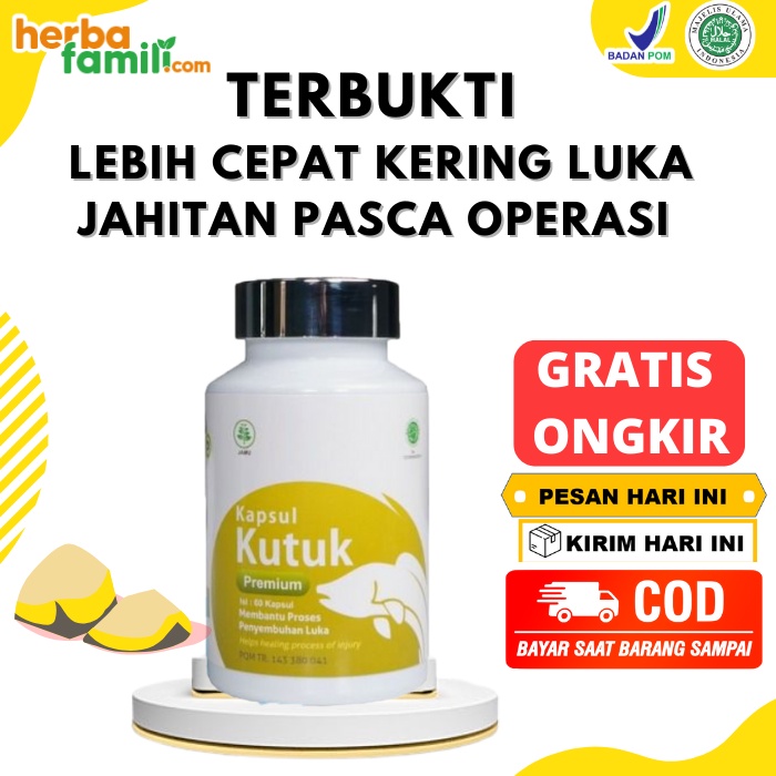 Kapsul Kutuk Premium Asli 100 Original Pil Kutuk Kapsul Ikan Gabus Kapsul Kutuk Asli Pro Albumin Kapsul Gabus Original Kapsul Ikan Gabus Pasca Operasi Obat Pasca Operasi Caesar5557