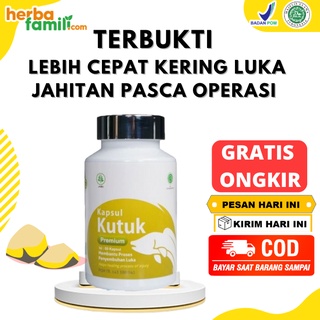 Jual Kapsul Kutuk Premium Asli 100 Original Pil Kutuk Kapsul Ikan Gabus ...