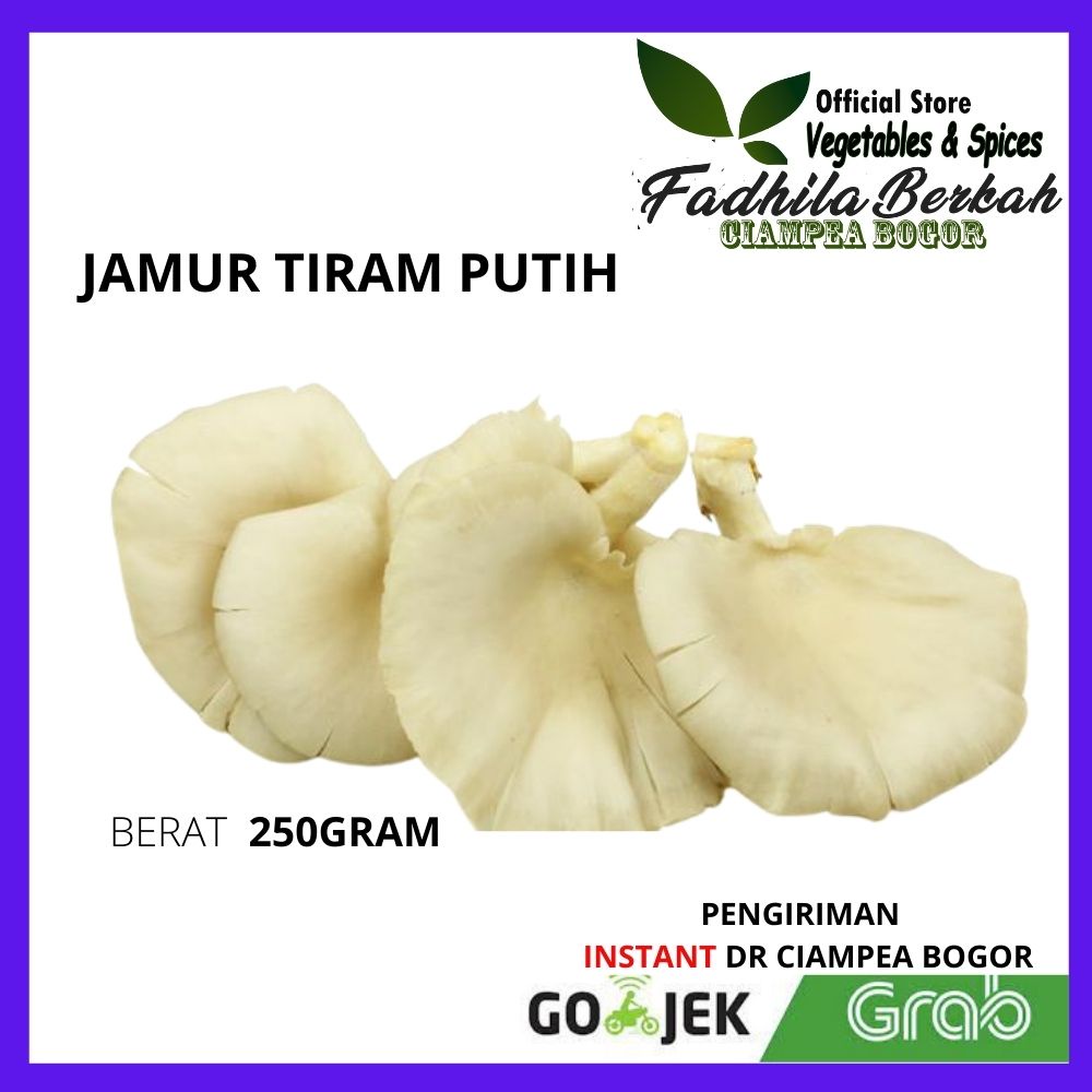 Jual Jamur Tiram Kuping Putih ikan asin Pasar Sayur Sayuran sayurmayur