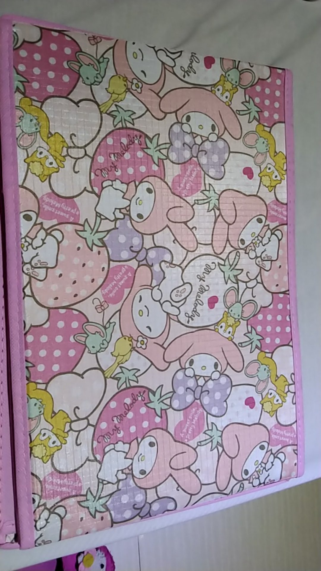 Storage Box [besar] / Tempat Penyimpanan Serbaguna / Tempat Penyimpanan Baju