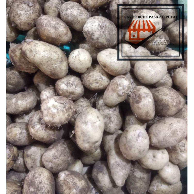 

Kentang 500 gram