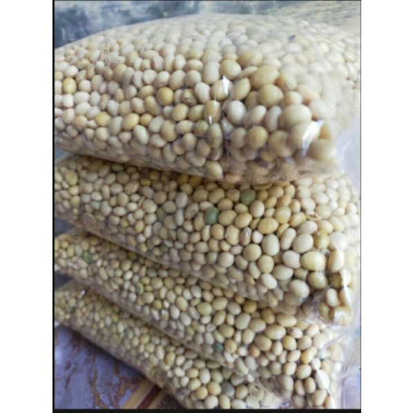 Jual Benih Kacang Kedelai Super Unggul Kg Shopee Indonesia