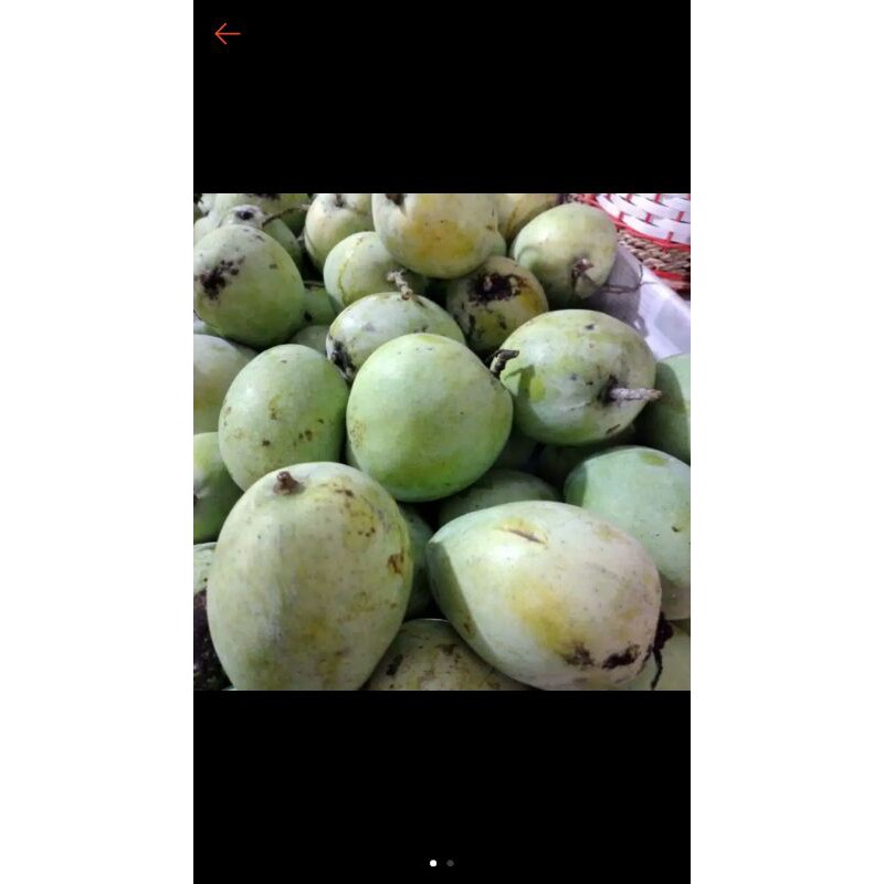 

Buah Mangga Indramayu manis 1kg